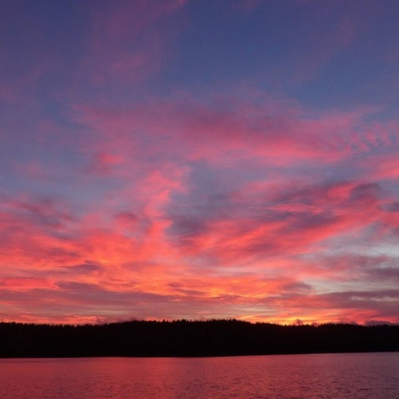 Meet your Posher, Jackie - Picture 1 of 1